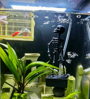 💀🐠Dekorasjon av akvariumsdansende skjelettbobler
