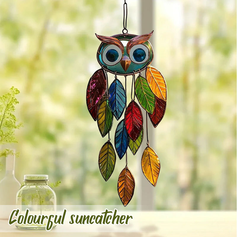 Gekleurde uilenhangers🦉