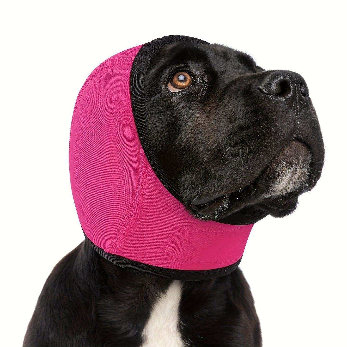 🐶Beroligende ørebeskyttelse/pannebånd for hunder, vanntette badehetter for hund