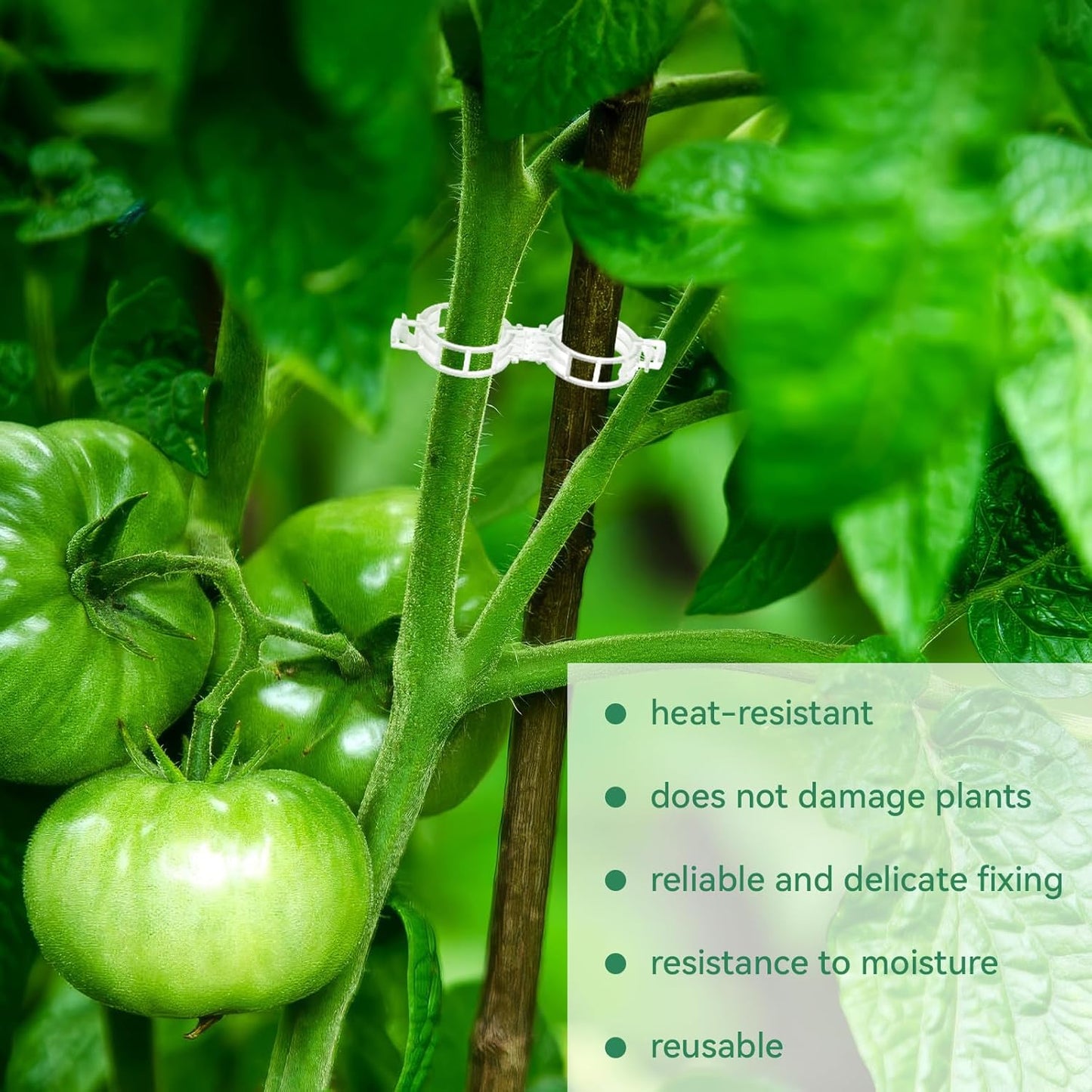 🍅Støtteklips for grønnsaksplanter