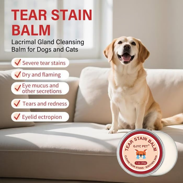 👀✨ GJYC PET Tear Stain Protection Cream & Brush Set 🐱🐶 for hunder og katter