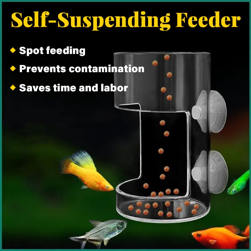🔥 Rengjør akvariefater 💥 🐠 Gjør fôring enkelt og greit