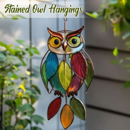 Gekleurde uilenhangers🦉