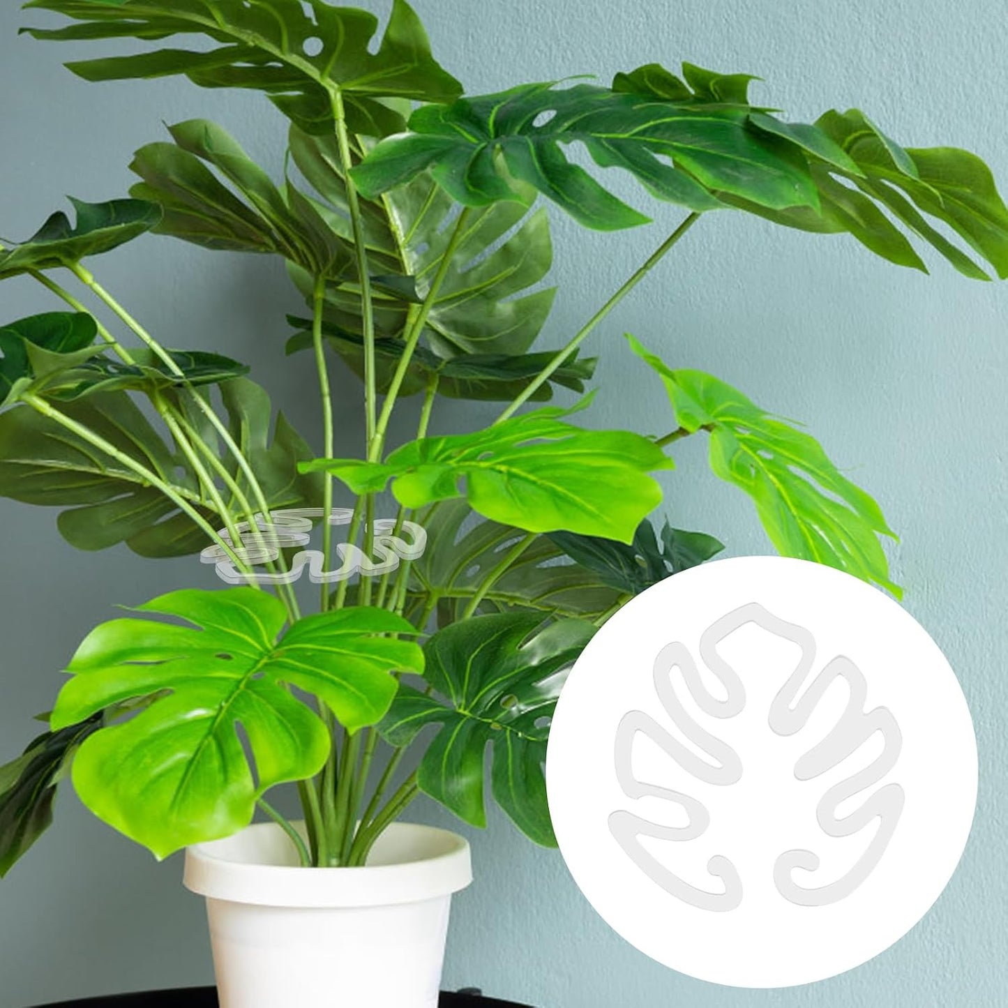 Gjennomsiktig plantepinn i akryl i form av et Monstera-blad | Usynlig stammeunderstøttelse for potteplanter innendørs 🌿