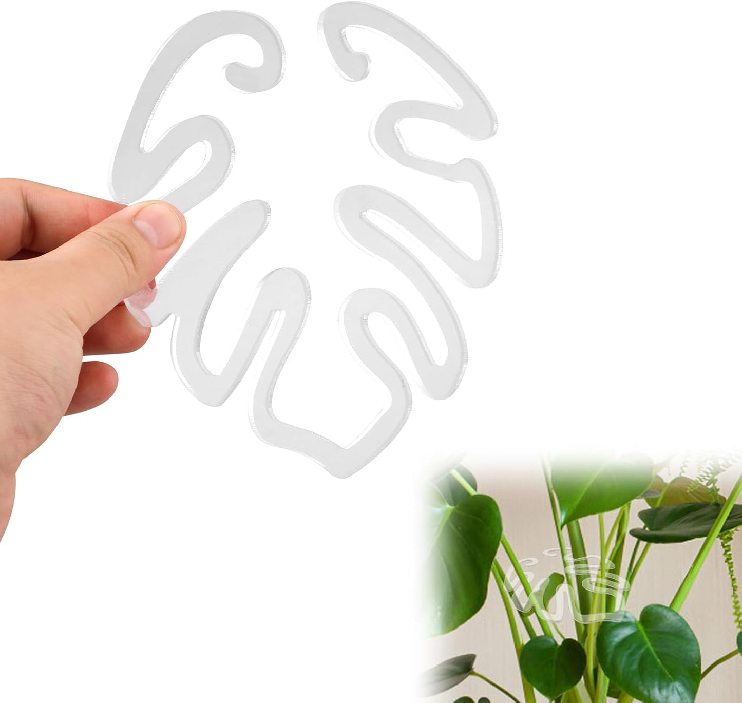 Gjennomsiktig plantepinn i akryl i form av et Monstera-blad | Usynlig stammeunderstøttelse for potteplanter innendørs 🌿