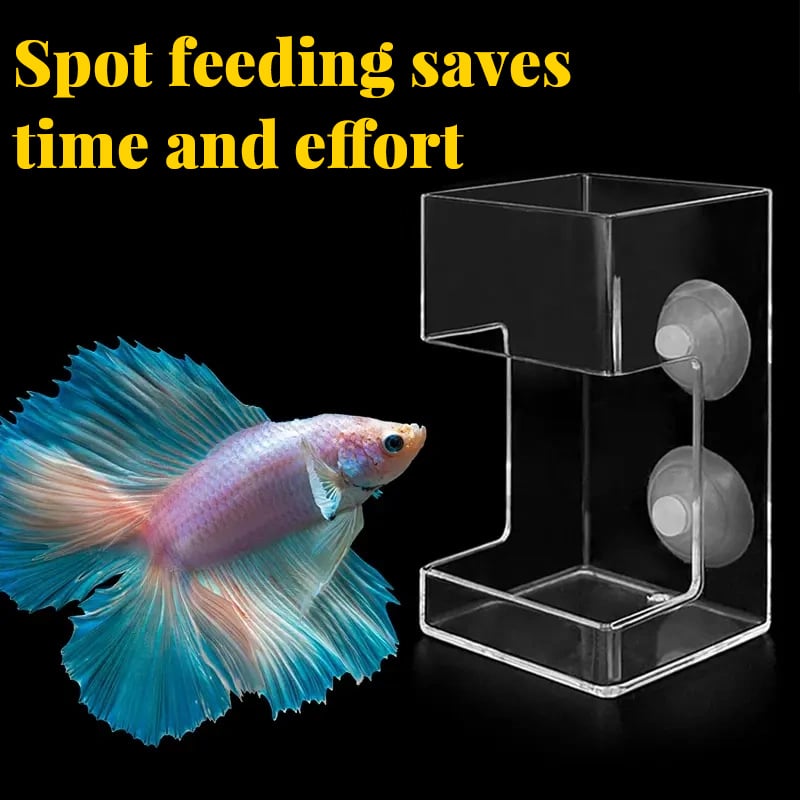 🔥 Rengjør akvariefater 💥 🐠 Gjør fôring enkelt og greit