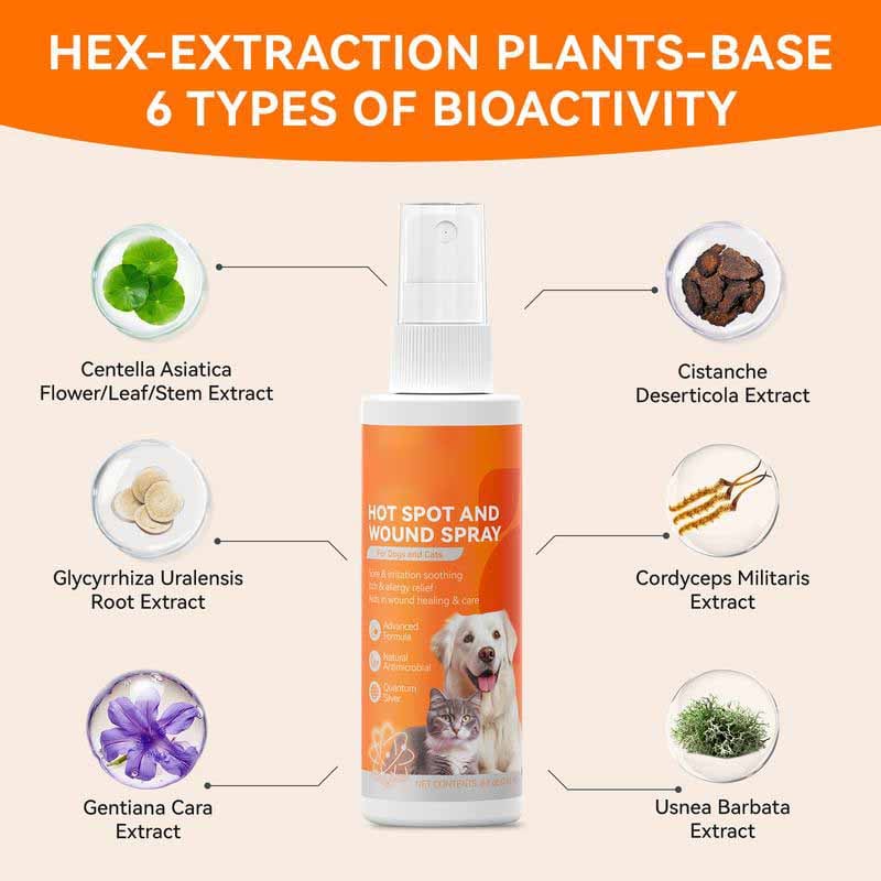 🐶Kløelindrende spray 💖 Veterinæranbefalt hudlindrende kvantesølvspray for hunder og katter