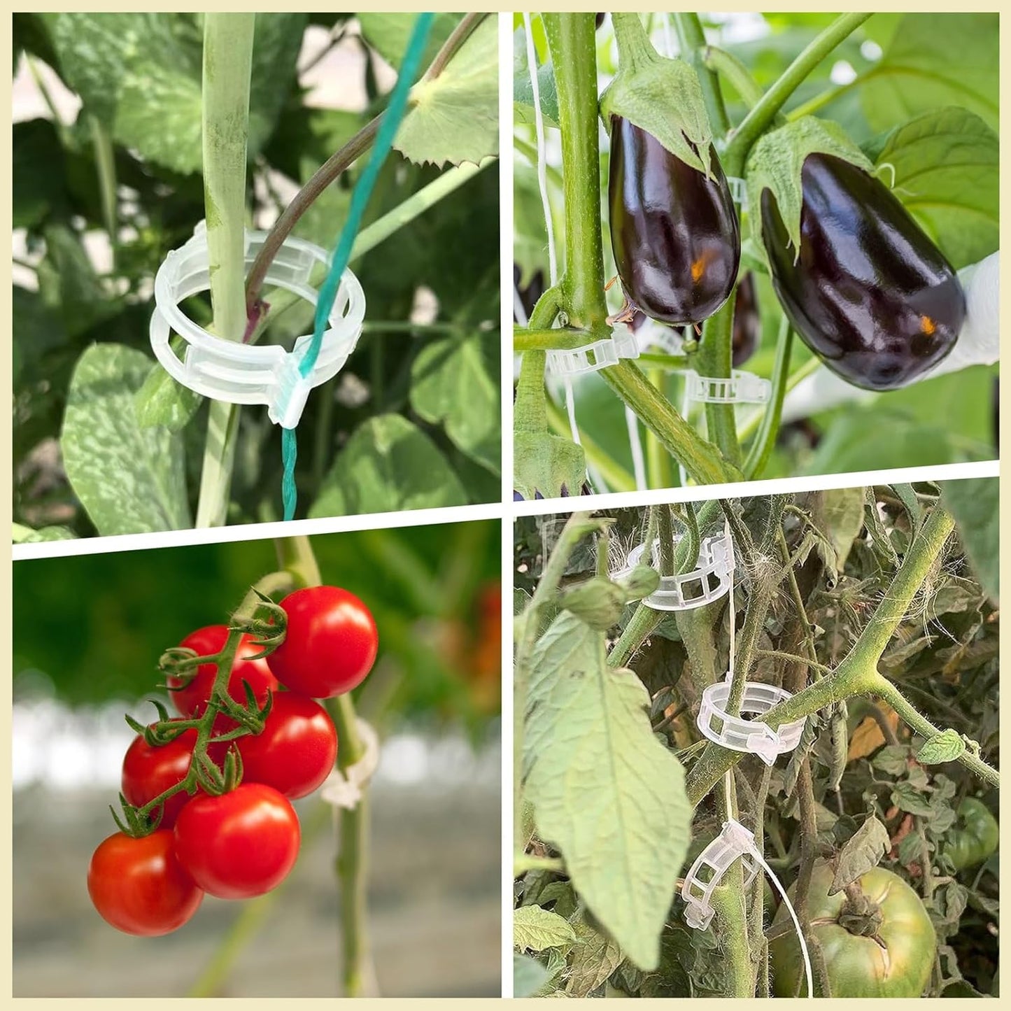 🍅Støtteklips for grønnsaksplanter
