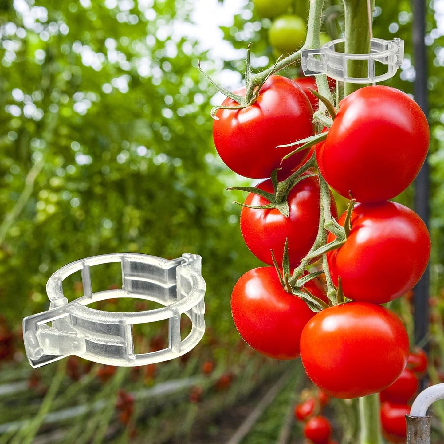 🍅Støtteklips for grønnsaksplanter