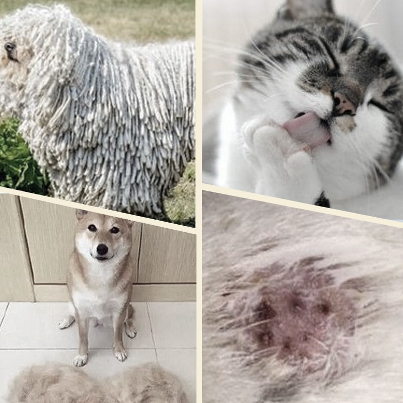 🐶🐱 Dobbeltsidig pelsbørste for kjæledyr